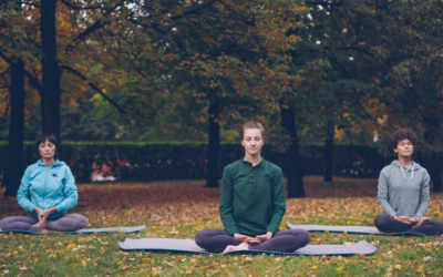 Meditation Tools for Daily Stress Relief and Clarity